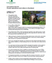 Forest Operations and Otters in Scotland